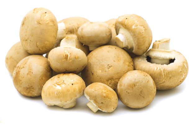 Champignons