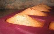Madeleine