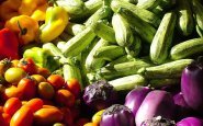 Recettes Végétariennes