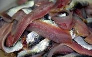 Sardine en escabèche